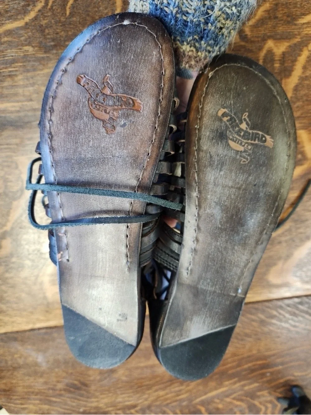 freebird Dark Brown Leather Lace-Up Gladiator Sandals